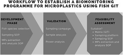 Feasibility Study on Biomonitoring of Microplastics in Fish Gastrointestinal Tracts